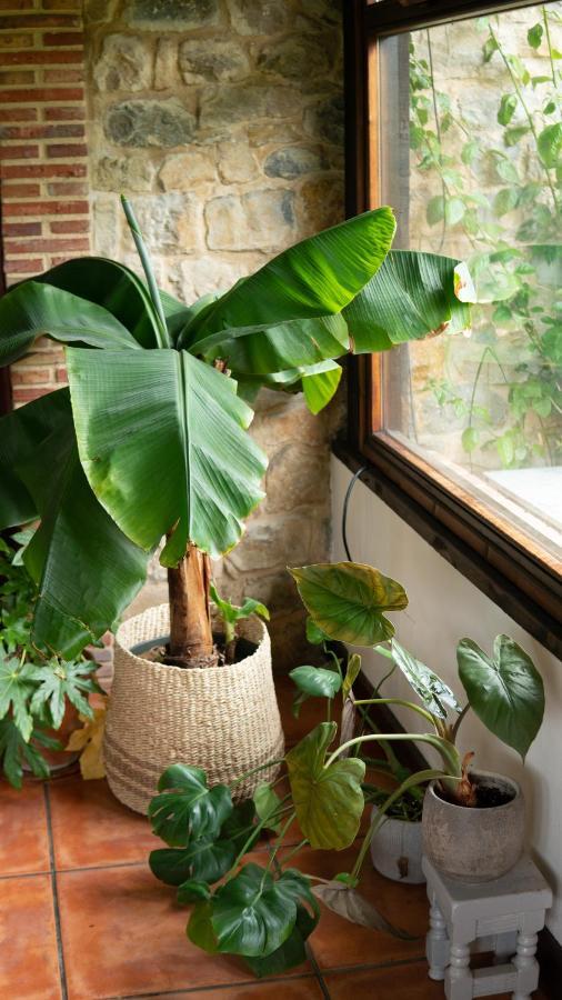 Casa 'Ohana Rioturbio Esterno foto